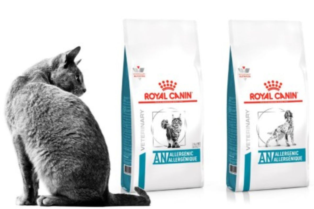 Nutrição Felina em 2026: O Guia Definitivo das Melhores Rações