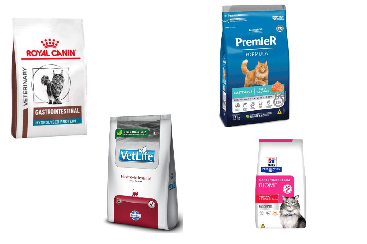 Saiba quais são as melhores rações gastrointestinais para gatos